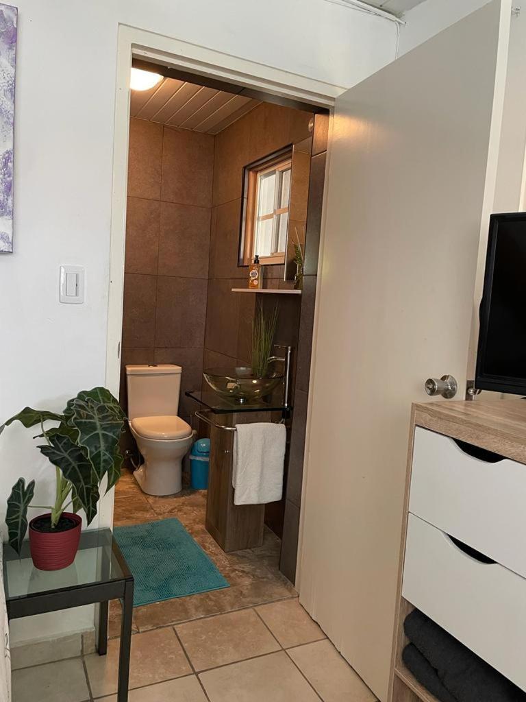 Palmhouse Apartments Aruba 1- 4 Persons Savaneta Exteriér fotografie