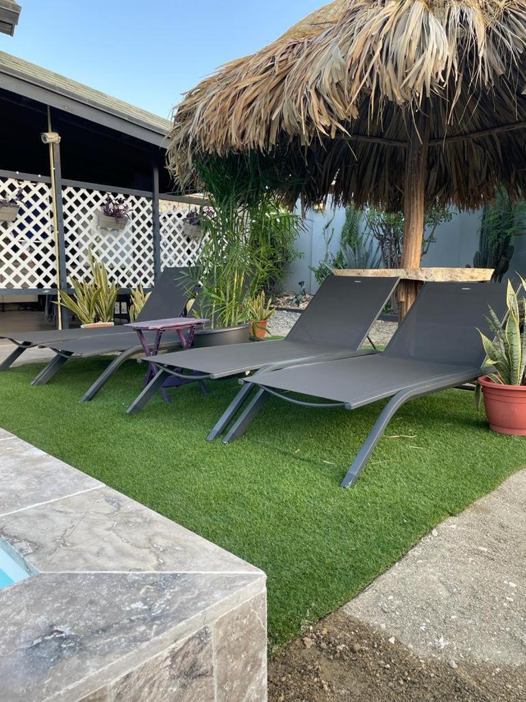 Palmhouse Apartments Aruba 1- 4 Persons Savaneta Exteriér fotografie