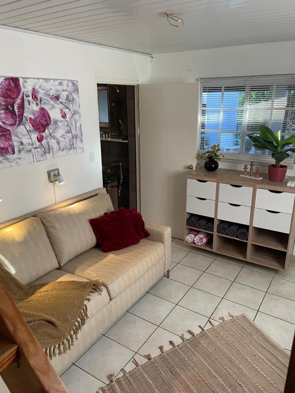 Palmhouse Apartments Aruba 1- 4 Persons Savaneta Exteriér fotografie