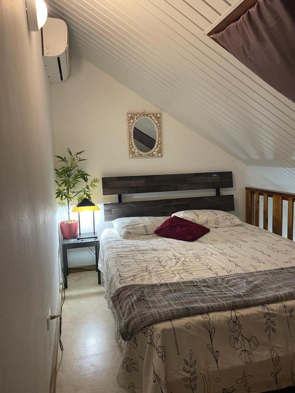 Palmhouse Apartments Aruba 1- 4 Persons Savaneta Exteriér fotografie